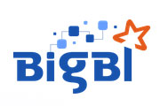 bigbilogo